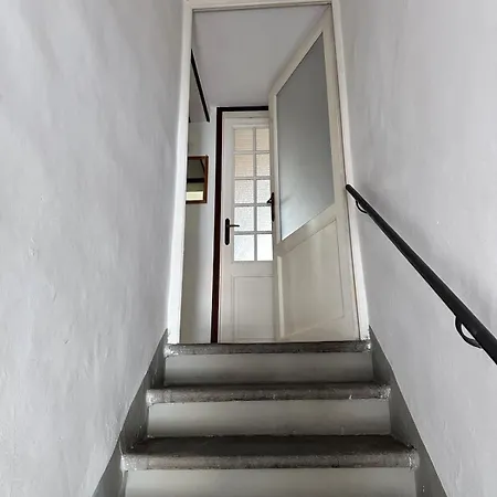 Giuggiola In Firenze